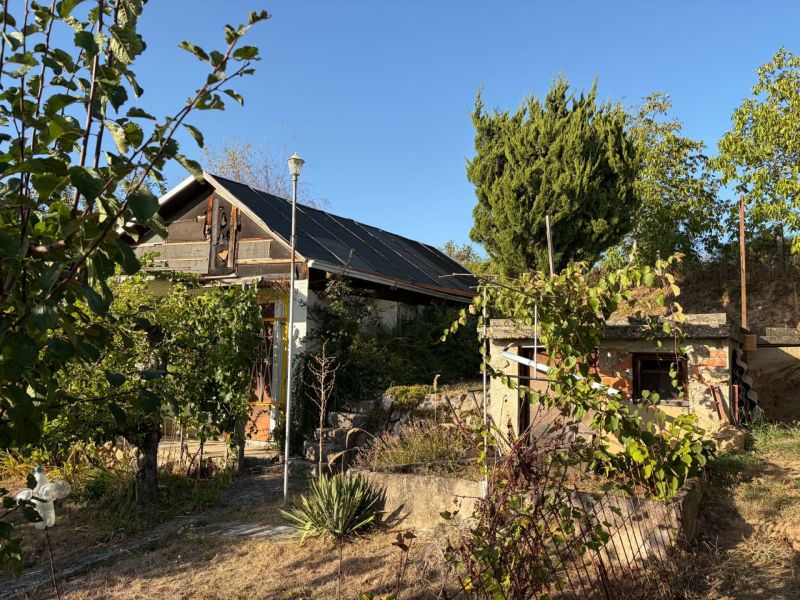 Eine Hütte in Banka, umgeben von üppigem Grün unter blauem Himmel.