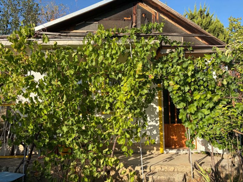 Die Hütte in der Bank ist mit Grün und Weinreben bedeckt, die Tür befindet sich auf einem Sockel.