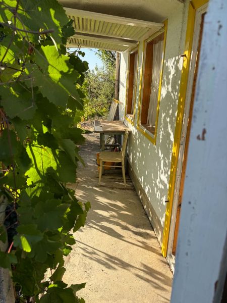 Die Veranda des Ferienhauses in Banka mit einem Holztisch, umgeben von grünem Weinlaub.