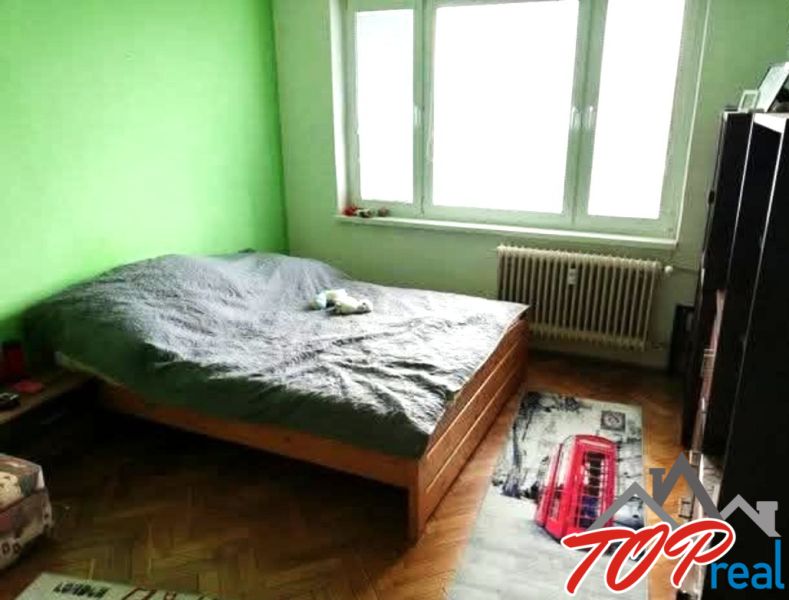 Schlafzimmer in einer Einzimmerwohnung mit grüner Wand und Boden in Holzoptik.