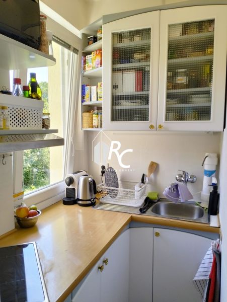 Kompakte Küche in einer Einzimmerwohnung mit Regalen und Spüle, Boden mit Holzdekor.