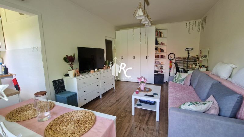 Wohnzimmer in einer Einzimmerwohnung mit Holzboden und gemütlicher Einrichtung.