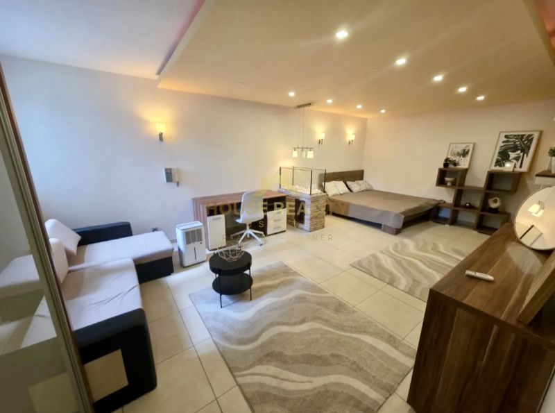 1-Zimmer-Wohnung mit Bett, Sofa, Teppich und Beleuchtung, Boden mit Holzdekor.