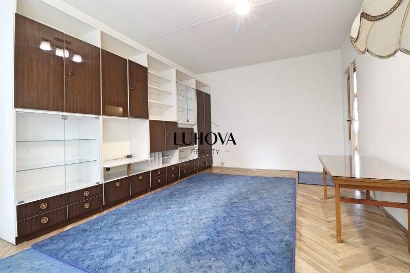 Wohnzimmer mit Möbeln, blauem Teppich und Holzboden in einer Zweizimmerwohnung.