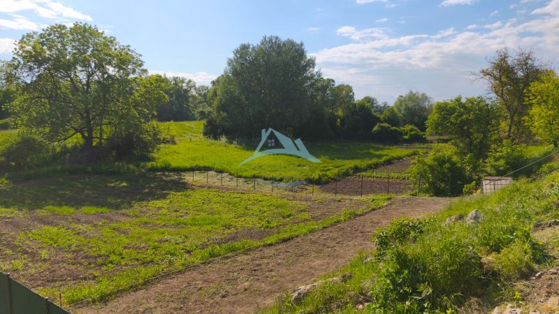 Grünfläche auf dem Erholungsgrundstück in Záhorce in der Straße Selešťany, umgeben von Bäumen und Gras.