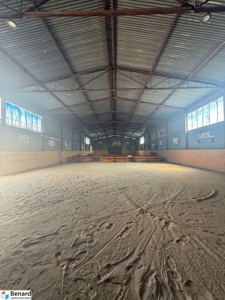 Das Innere des Gebäudes mit einem großen geräumigen Spielfeld und einem Metalldach.
