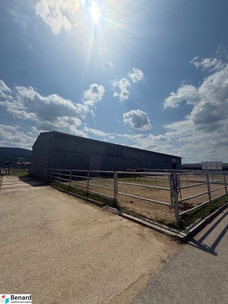 Ein Gebäude in Hniezdne, ein eingezäunter Bereich mit Pferden, sonniger Himmel, leicht bewölkt.