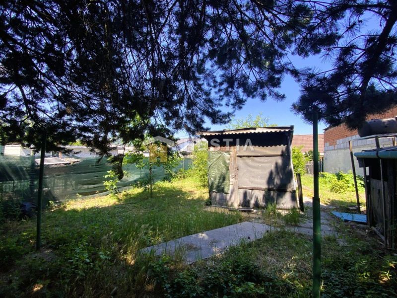 Ein Garten bei einem Einfamilienhaus in Borský Mikuláš mit einem Holzbau und Bäumen.