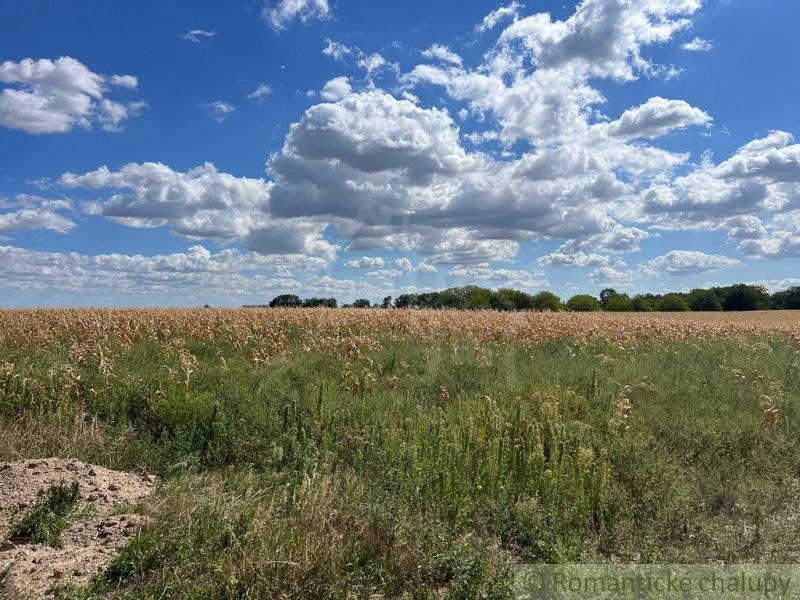 Ein Feld mit Pflanzen unter einem Himmel voller Wolken in der Umgebung von Bernolákovo auf landwirtschaftlichen und forstwirtschaftlichen Flächen.