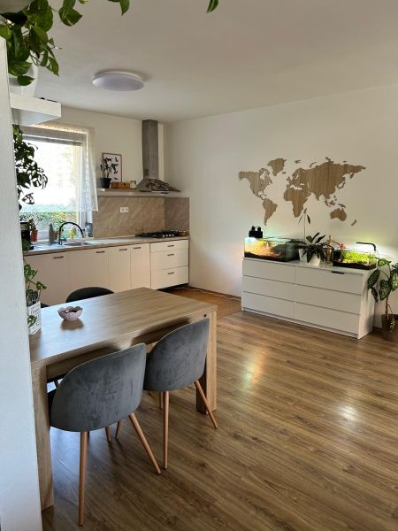 Küche in einer 3-Zimmer-Wohnung mit Holzboden, Tisch und Pflanzen.
