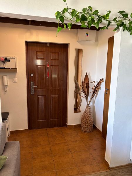 Eingangsflur mit Pflanze und Holzelementen in einer 3-Zimmer-Wohnung.
