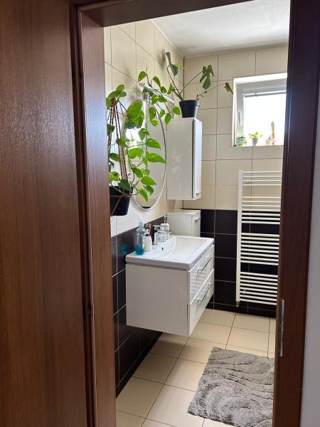 Badezimmer in einer 3-Zimmer-Wohnung mit Fliesen und grünen Pflanzen.