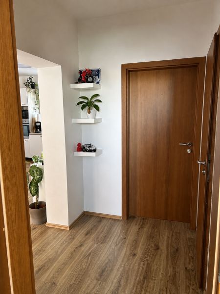 Flur in einer 3-Zimmer-Wohnung mit Türen und Boden in Holzdekor.