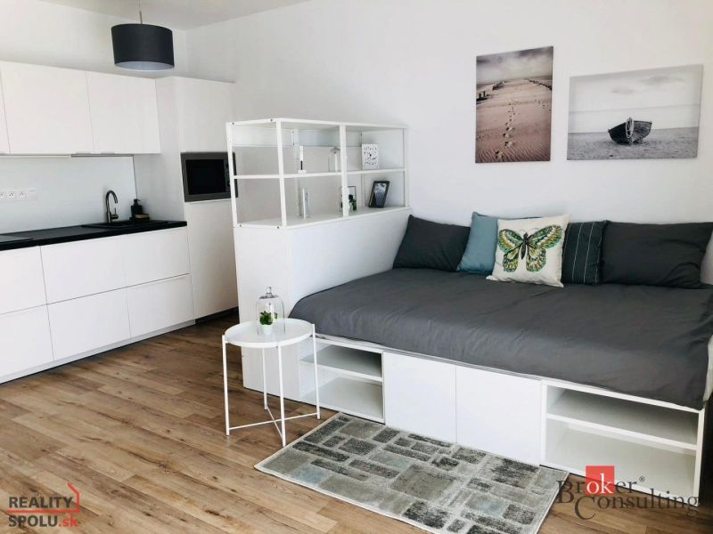 1-Zimmer-Wohnung mit Küchenzeile, Sofa und Boden in Holzoptik.