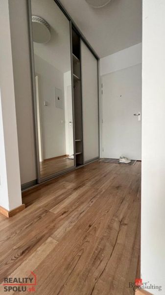 Der Flur in einer Einzimmerwohnung mit einem Boden in Holzoptik und einem Einbauschrank.
