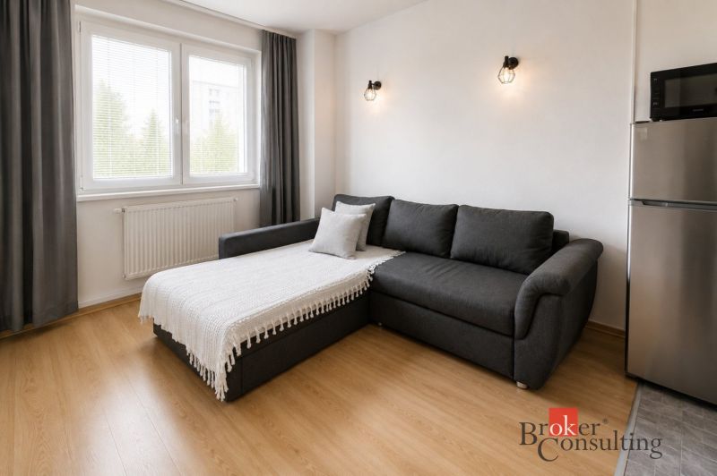 Wohnzimmer in einer 2-Zimmer-Wohnung mit einem Sofa, einem Boden in Holzoptik und einem Kühlschrank.