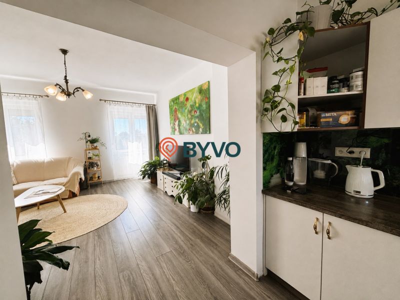 Wohnzimmer in einer Zweizimmerwohnung mit Licht, Pflanzen und einem Boden in Holzoptik.