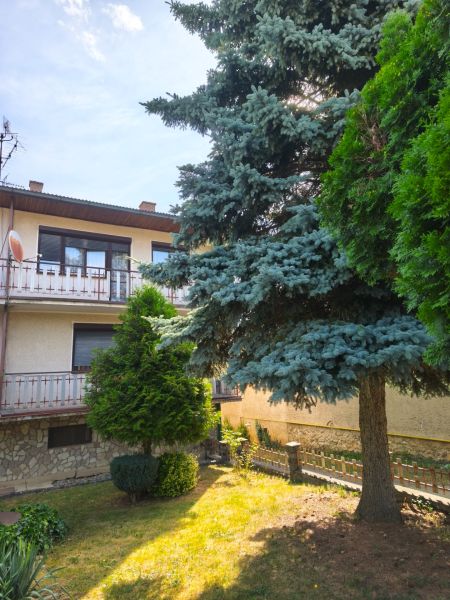 Ein Einfamilienhaus in Jelenec mit Balkon, umgeben von Grün und Nadelbäumen.