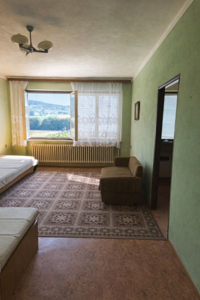Innenraum eines Einfamilienhauses mit grünen Wänden, Teppichboden und Blick aus dem Fenster.