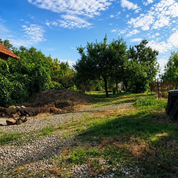Garten bei einem Einfamilienhaus in Šalgočka, mit Gras und Obstbäumen.