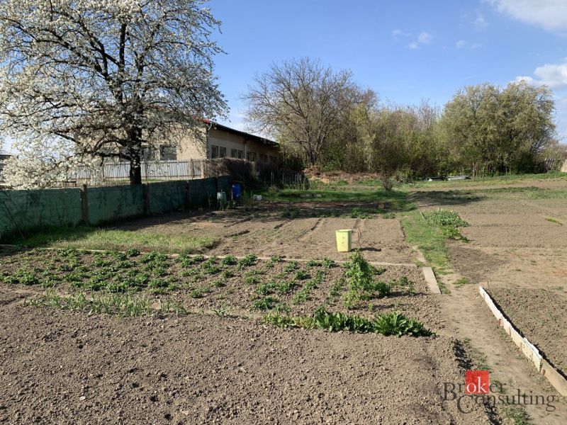 Ein Garten mit einem blühenden Baum in der Železničná-Straße in Šahy.