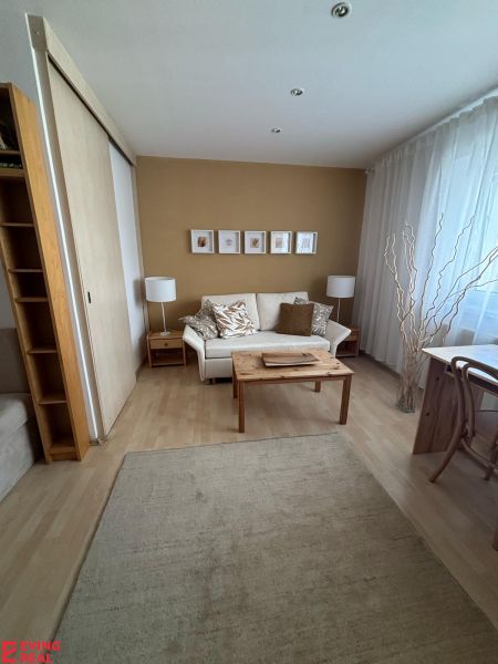 Wohnbereich einer Einzimmerwohnung mit Sofa, Holztisch und dekorativen Elementen.