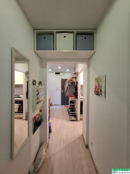 Ein Flur mit Holzboden in einer 3-Zimmer-Wohnung mit Aufbewahrungsboxen.