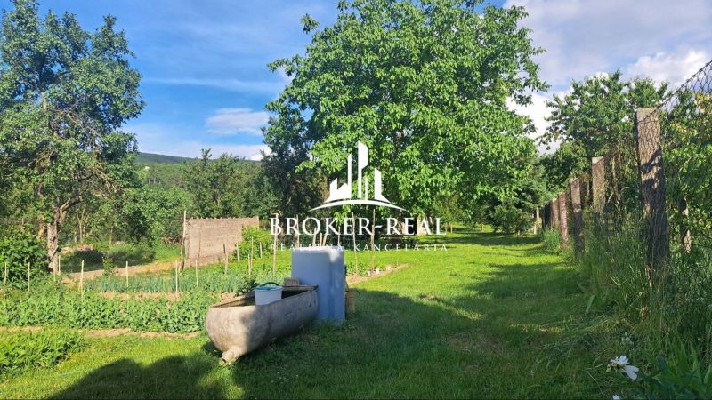 Der Garten des Einfamilienhauses in Gönc mit viel Grün und ausgewachsenen Bäumen.