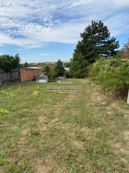 Der Garten des Einfamilienhauses in Zvončín mit Rasen und Bäumen in der Straße Zvončín.