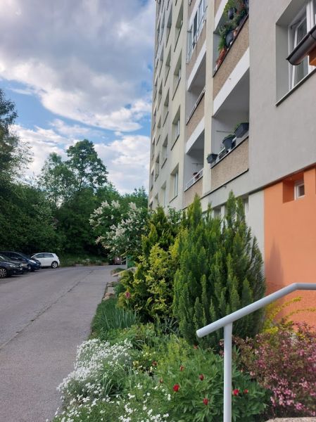 Ein Wohnhaus in der Internátna-Straße in Banská Bystrica, umgeben von Grünflächen und Parkplätzen.
