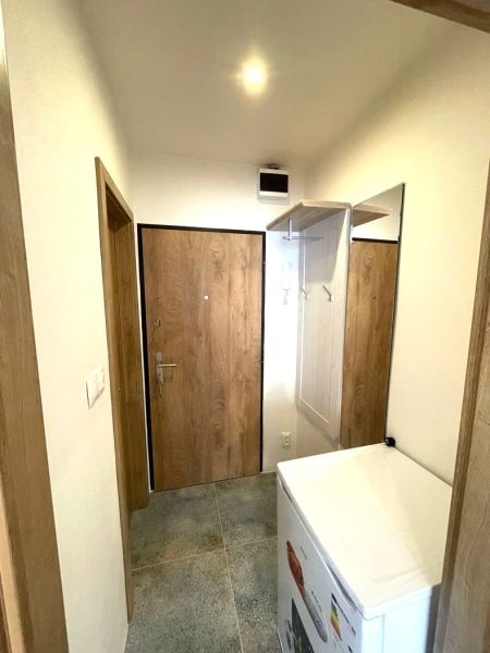 In der Einzimmerwohnung gibt es einen Eingangsflur mit einer Holztür und einem Schrank.
