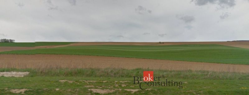 Weitläufige grüne Felder in Lužianky, geeignet für Grundstücke - Wohnen.