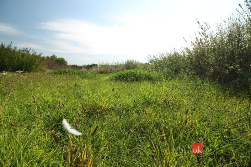 Sonnige Grundstücke - Wohnen in Nitra mit üppiger Vegetation und blauem Himmel.