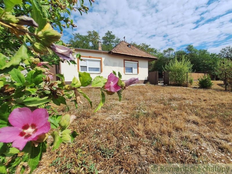 Ein Einfamilienhaus in Kamenica nad Hronom, umgeben von Blumen und trockenem Gras auf dem Grundstück.