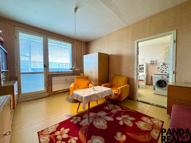 Innenraum einer 1-Zimmer-Wohnung mit Teppich und Möbeln, Geschirrspüler in der Küche.