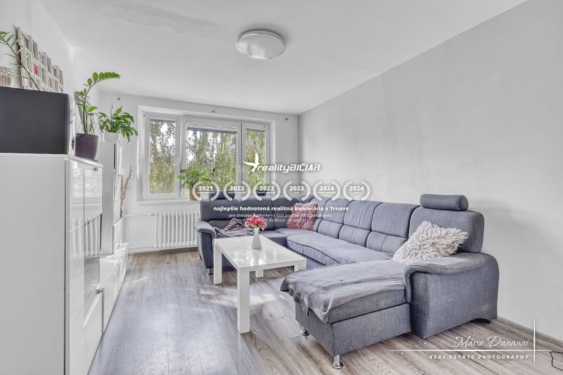 Wohnzimmer in einer 2-Zimmer-Wohnung mit Sofa, Holzboden und Pflanzen.