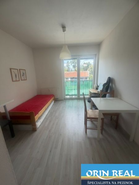 Einzimmerwohnung mit Möbeln, Boden mit Holzdekor, heller Raum und Balkontüren.