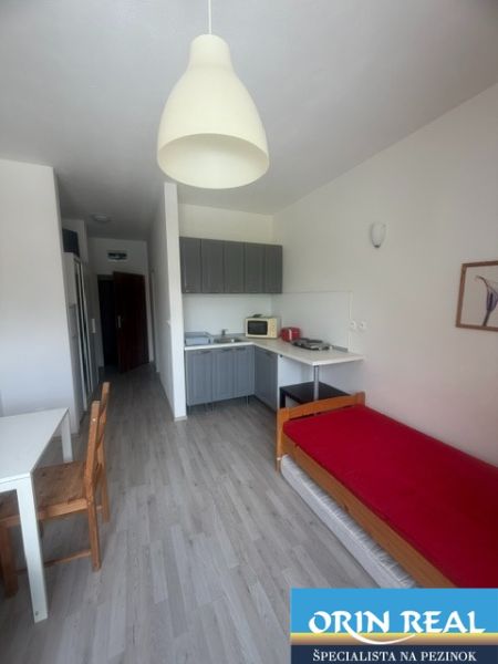 Ein Studio mit Holzboden und Küchenzeile, enthält einen Ess- und Schlafbereich.