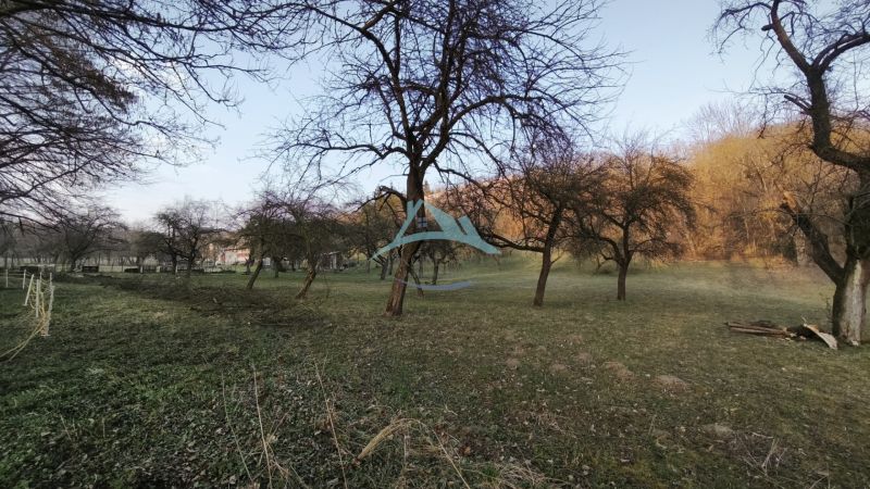 Ein Garten mit Laubbäumen auf einem Wohngrundstück in Veľký Krtíš, A. H. Škultétyho.