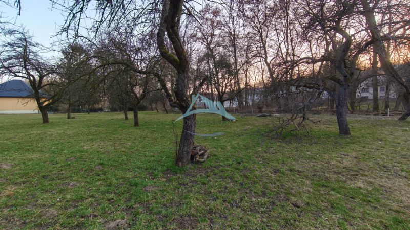 Ein Garten mit einer Rasenfläche und Bäumen in der A. H. Škultétyho Straße in Veľký Krtíš.