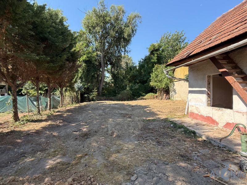 Der Hof des Einfamilienhauses am Platz des hl. Florian in Krakovany, umgeben von Grün und Bäumen.