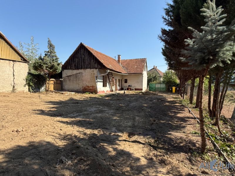 Ein Einfamilienhaus am Platz des heiligen Florian in Krakovany, mit Höfen und daneben stehenden Bäumen.
