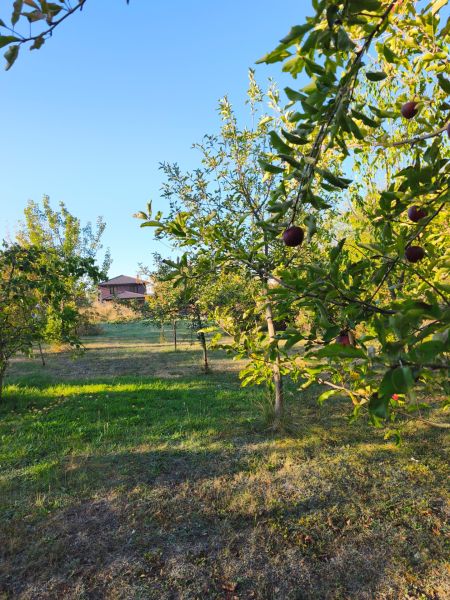 Ein Obstgarten bei einem Einfamilienhaus in Zlaté Moravce an einem sonnigen Tag.