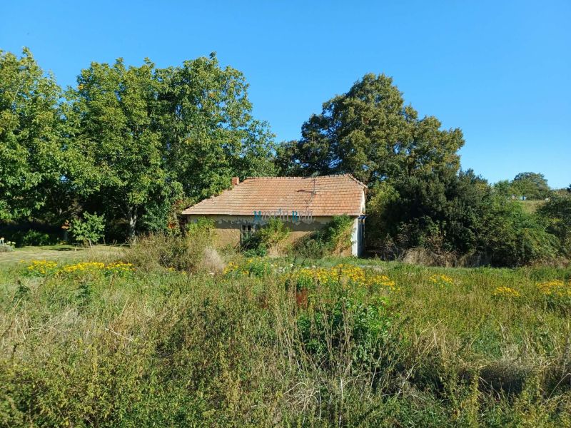 Ein von Vegetation umgebenes Haus in der Hauptstraße in Ceroviny, Grundstücke - Wohnen.