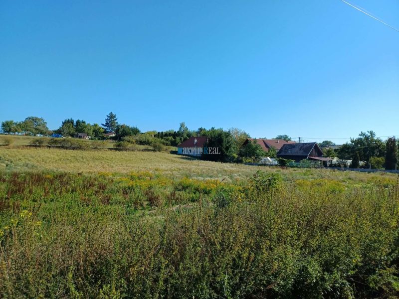 Baugrundstück in der Hauptstraße in Ceroviny, umgeben von Grünflächen.