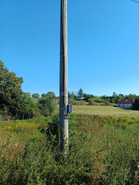 Ein Telefonmast auf einem Wohngrundstück in der Hauptstraße, Ceroviny, umgeben von Natur.