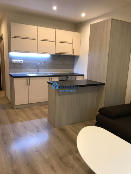 Einzimmerwohnung mit Küche, Holzboden, heller Innenraum mit Sofa.