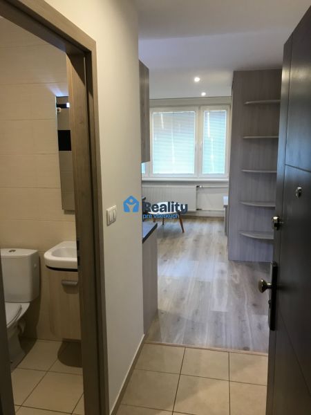 Ein Studio-Apartment mit Holzdekorboden, sichtbar ist das Badezimmer und der Wohnbereich.