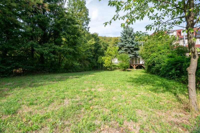 Garten auf Erholungsgrundstücken in Bratislava - Devín, Devínska cesta, gesäumt von Bäumen und Sträuchern.