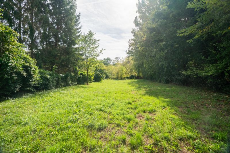 Eine grüne Wiese, umgeben von Bäumen, auf Erholungsgrundstücken in Bratislava - Devín.